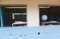 20101203_115741 D3 (1)